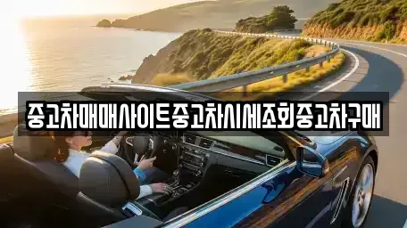 인천광역시 옹진군 중고차 전문 중고차매매사이트중고차시세조회중고차구매