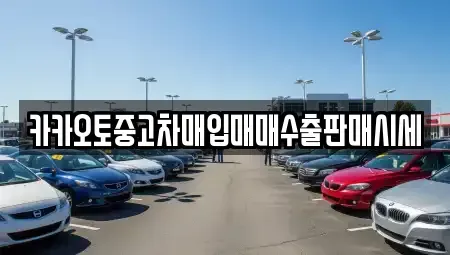 인천광역시 중구 관동3가 중고차매입 전문 카카오토중고차매입매매수출판매시세