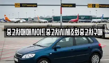 인천광역시 중구 운남동 중고차매매 전문 중고차매매사이트중고차시세조회중고차구매