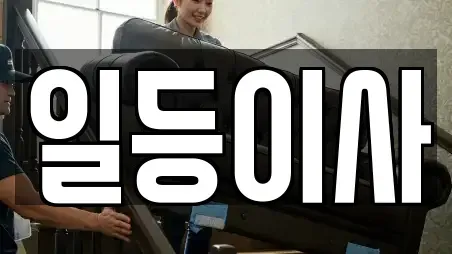일등이사