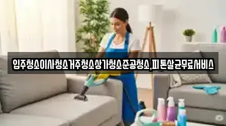 입주청소이사청소거주청소상가청소준공청소,피톤살균무료서비스