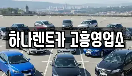전남 고흥군 고흥읍 렌트카 전문 하나렌트카 고흥영업소