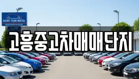 전남 고흥군 고흥읍 중고차 전문 고흥중고차매매단지