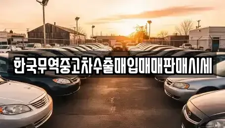 전남 고흥군 고흥읍 중고차 전문 한국무역중고차수출매입매매판매시세