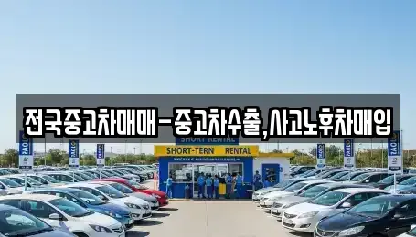 전남 나주시 산포면 중고차 전문 전국중고차매매-중고차수출,사고노후차매입