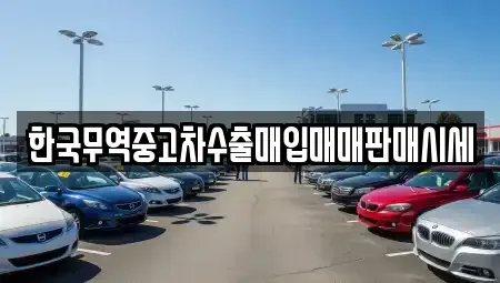 전남 나주시 진포동 중고차매입 전문 한국무역중고차수출매입매매판매시세