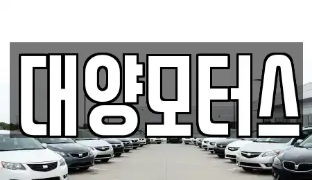 전남 목포시 금화동 중고차매매 전문 대양모터스