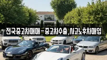전남 목포시 금화동 단기렌트카,중고차매입,중고차매매,중고차,렌트카,장기렌트카