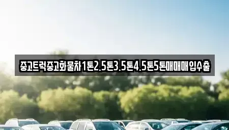 전남 목포시 금화동 중고차매입 전문 중고트럭중고화물차1톤2.5톤3.5톤4.5톤5톤매매매입수출