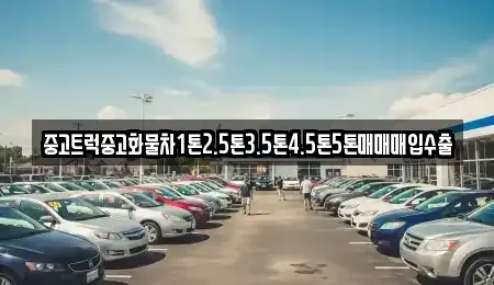 전남 목포시 대의동3가 중고차매입 전문 중고트럭중고화물차1톤2.5톤3.5톤4.5톤5톤매매매입수출