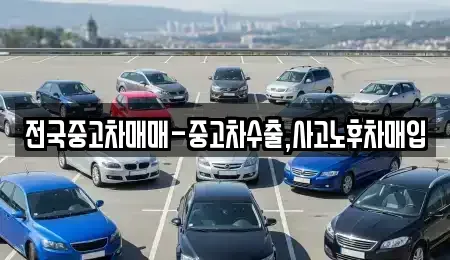 전남 목포시 해안동2가 중고차매매,단기렌트카,중고차매입,장기렌트카,중고차,렌트카