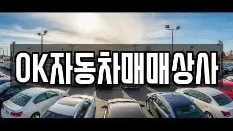 전남 보성군 보성읍 중고차 전문 OK자동차매매상사