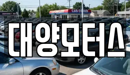전남 영암군 학산면 중고차매매 전문 대양모터스