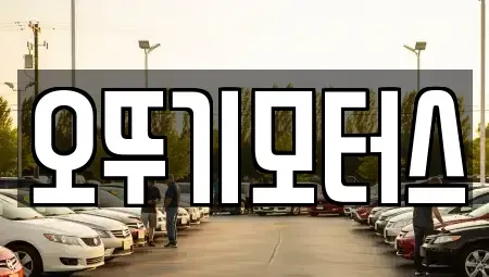 전남 장흥군 중고차 전문 오뚜기모터스