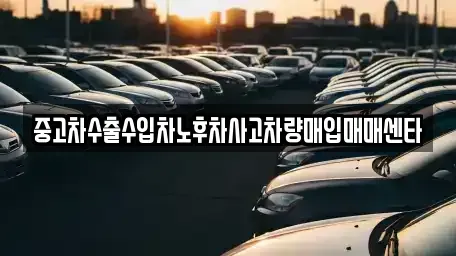 전남 장흥군 중고차매입 전문 중고차수출수입차노후차사고차량매입매매센타