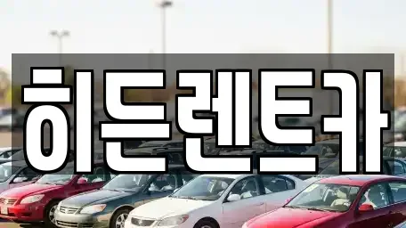 전남 함평군 대동면 렌트카 전문 히든렌트카