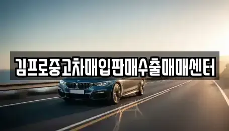 전남 함평군 대동면 중고차 전문 김프로중고차매입판매수출매매센터