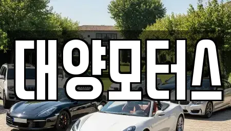 전남 함평군 대동면 중고차매매 전문 대양모터스