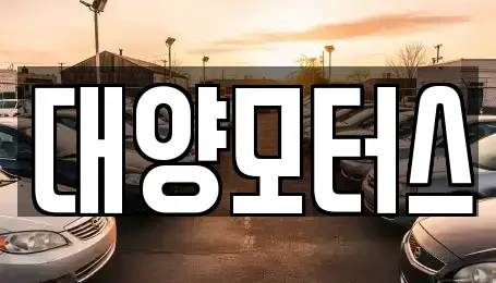 전라남도 강진군 군동면 중고차매매 전문 대양모터스