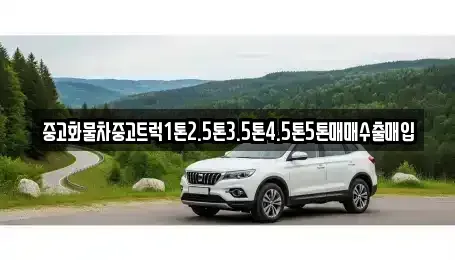전라남도 강진군 군동면 중고차매매,단기렌트카,중고차매입,장기렌트카,중고차,렌트카
