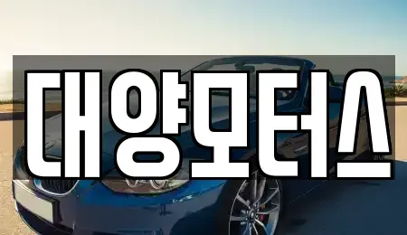 전라남도 구례군 문척면 중고차매매 전문 대양모터스