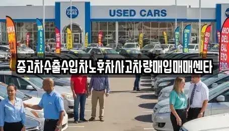 전라남도 나주시 용산동 중고차매입 전문 중고차수출수입차노후차사고차량매입매매센타