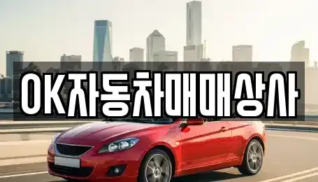 전라남도 여수시 화양면 중고차 전문 OK자동차매매상사