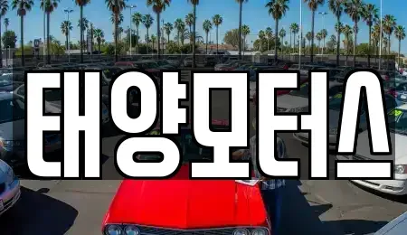 전라남도 장흥군 장동면 중고차 전문 태양모터스