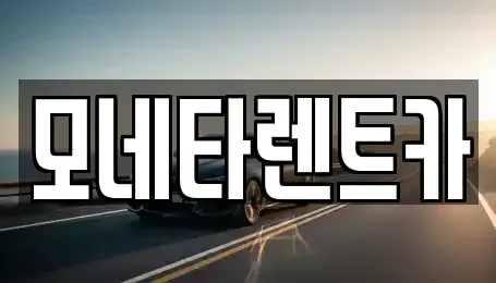 전라남도 진도군 렌트카 전문 모네타렌트카
