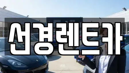전라남도 진도군 렌트카 전문 선경렌트카