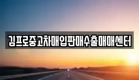 전라남도 진도군 중고차 전문 김프로중고차매입판매수출매매센터