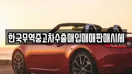 전라남도 진도군 중고차매입 전문 한국무역중고차수출매입매매판매시세