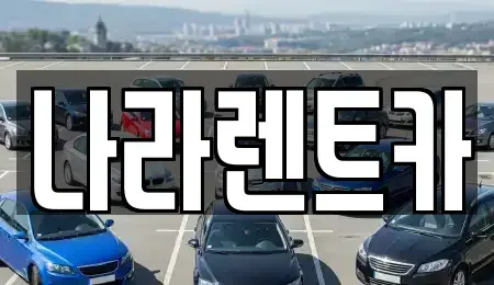 전라남도 함평군 대동면 렌트카 전문 나라렌트카