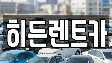 전라남도 함평군 대동면 렌트카 전문 히든렌트카