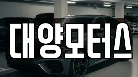 전라남도 함평군 대동면 중고차 전문 대양모터스