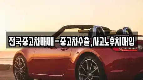 전북 군산시 신창동 중고차매입 전문 전국중고차매매-중고차수출,사고노후차매입