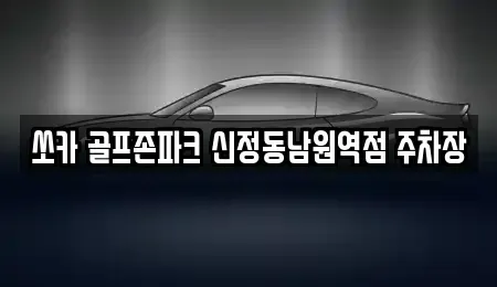 전북 남원시 화정동 렌트카 전문 쏘카 골프존파크 신정동남원역점 주차장