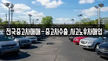 전북 전주시 완산구 평화동2가 중고차 전문 전국중고차매매-중고차수출,사고노후차매입