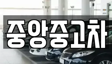 전북 전주시 완산구 평화동2가 중고차 전문 중앙중고차