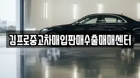 전북 정읍시 중고차매입 전문 김프로중고차매입판매수출매매센터