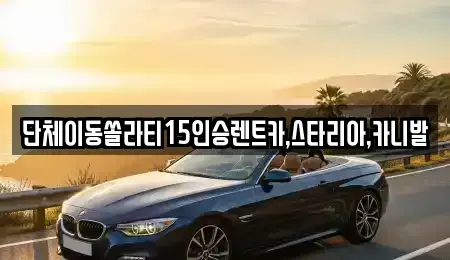 전북특별자치도 군산시 금광동 렌트카 전문 단체이동쏠라티15인승렌트카,스타리아,카니발