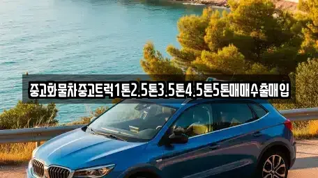 전북특별자치도 군산시 금광동 장기렌트카,중고차,렌트카,단기렌트카,중고차매입,중고차매매