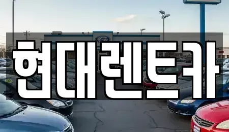 전북특별자치도 군산시 장미동 렌트카 전문 현대렌트카