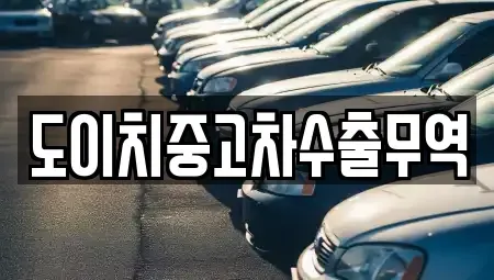 전북특별자치도 군산시 장미동 중고차 전문 도이치중고차수출무역