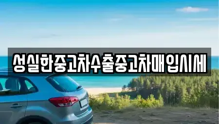 전북특별자치도 군산시 장미동 중고차 전문 성실한중고차수출중고차매입시세