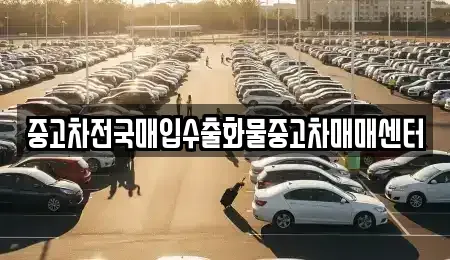 전북특별자치도 군산시 장미동 중고차매입 전문 중고차전국매입수출화물중고차매매센터