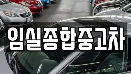 전북특별자치도 임실군 성수면 중고차,렌트카,중고차매입,중고차매매,장기렌트카,단기렌트카