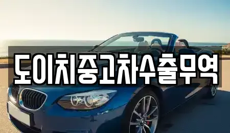 전북특별자치도 전주시 덕진구 금상동 중고차매매 전문 도이치중고차수출무역