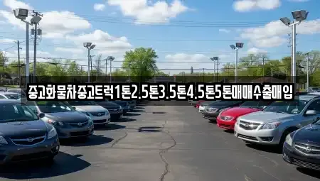 전북특별자치도 전주시 덕진구 금상동 단기렌트카,중고차매입,중고차매매,중고차,렌트카,장기렌트카