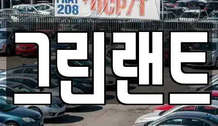 전북특별자치도 전주시 완산구 원당동 렌트카 전문 그린랜트